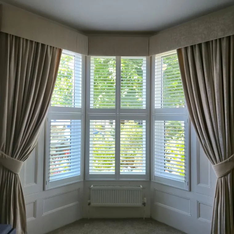 50cc46ba-bfb2-4154-a3da-ccaf1e0eaccd.jfif